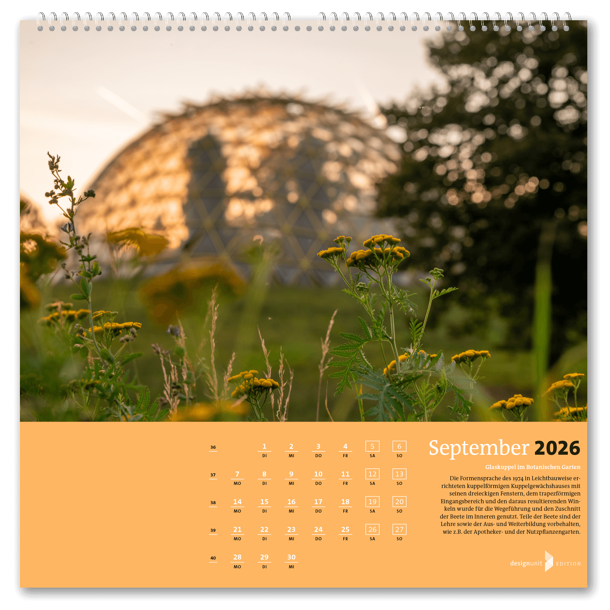 Düsseldorf 2026, Meine Stadt – Bild 10